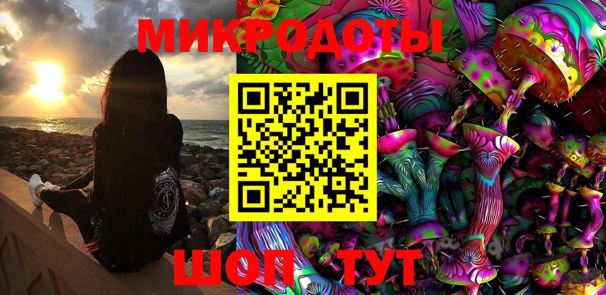 Псилоцибиновые грибы Psilocybine cubensis Кандалакша