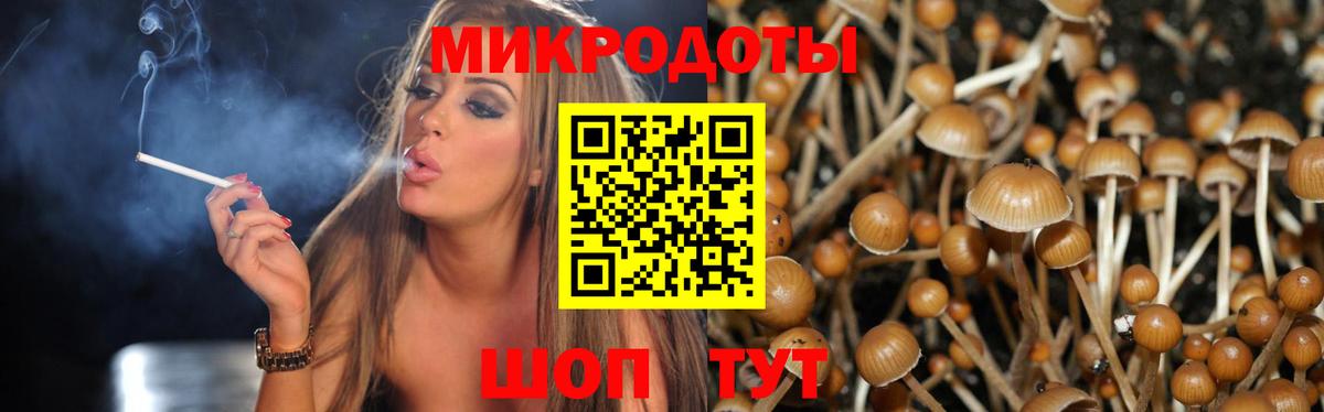 Галлюциногенные грибы MAGIC MUSHROOMS  Галлюциногенные грибы ЛСД  Вход с VPN  Кандалакша 
